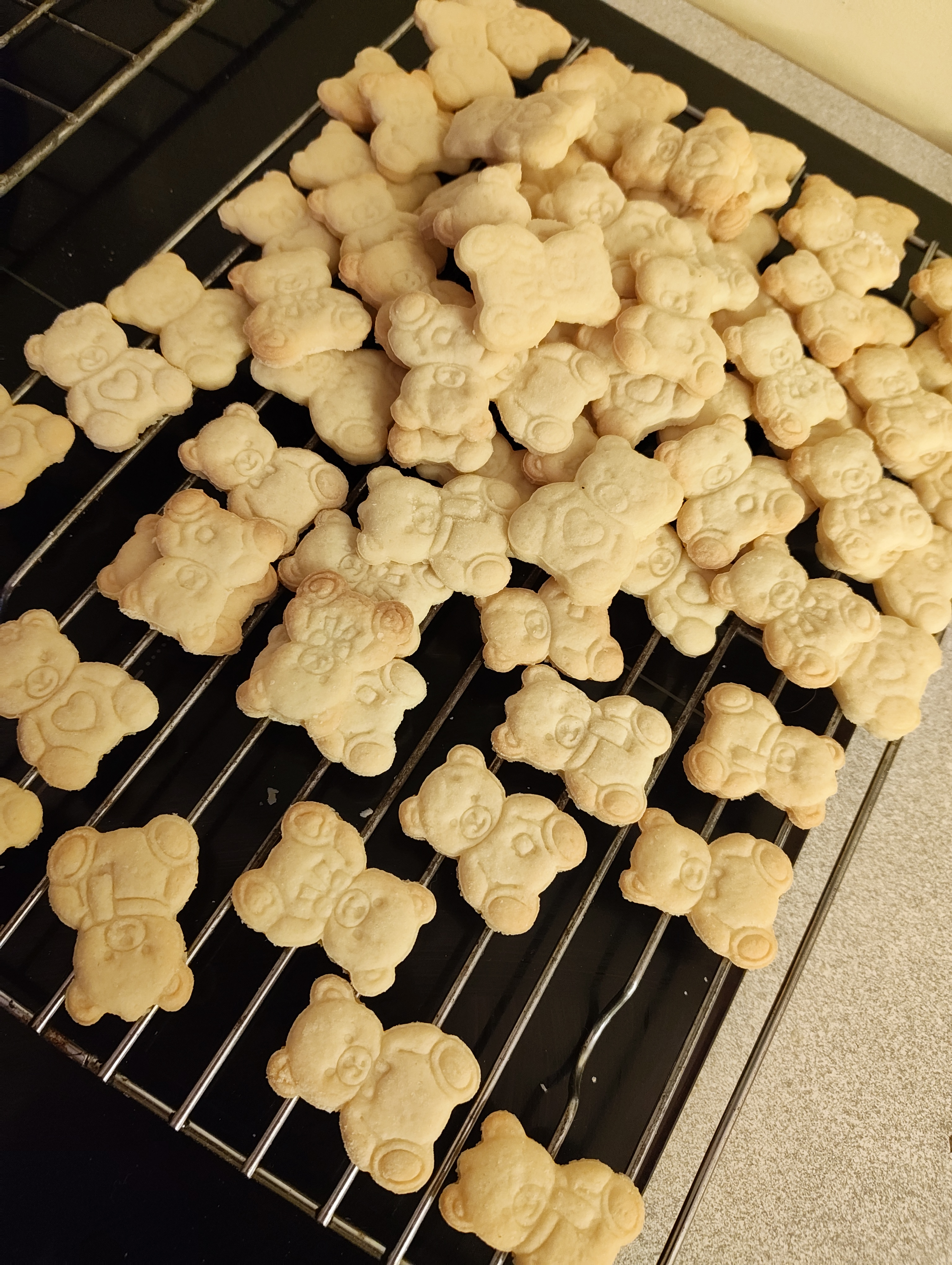 Bear-ly Controlled Chaos Cookie Cutters