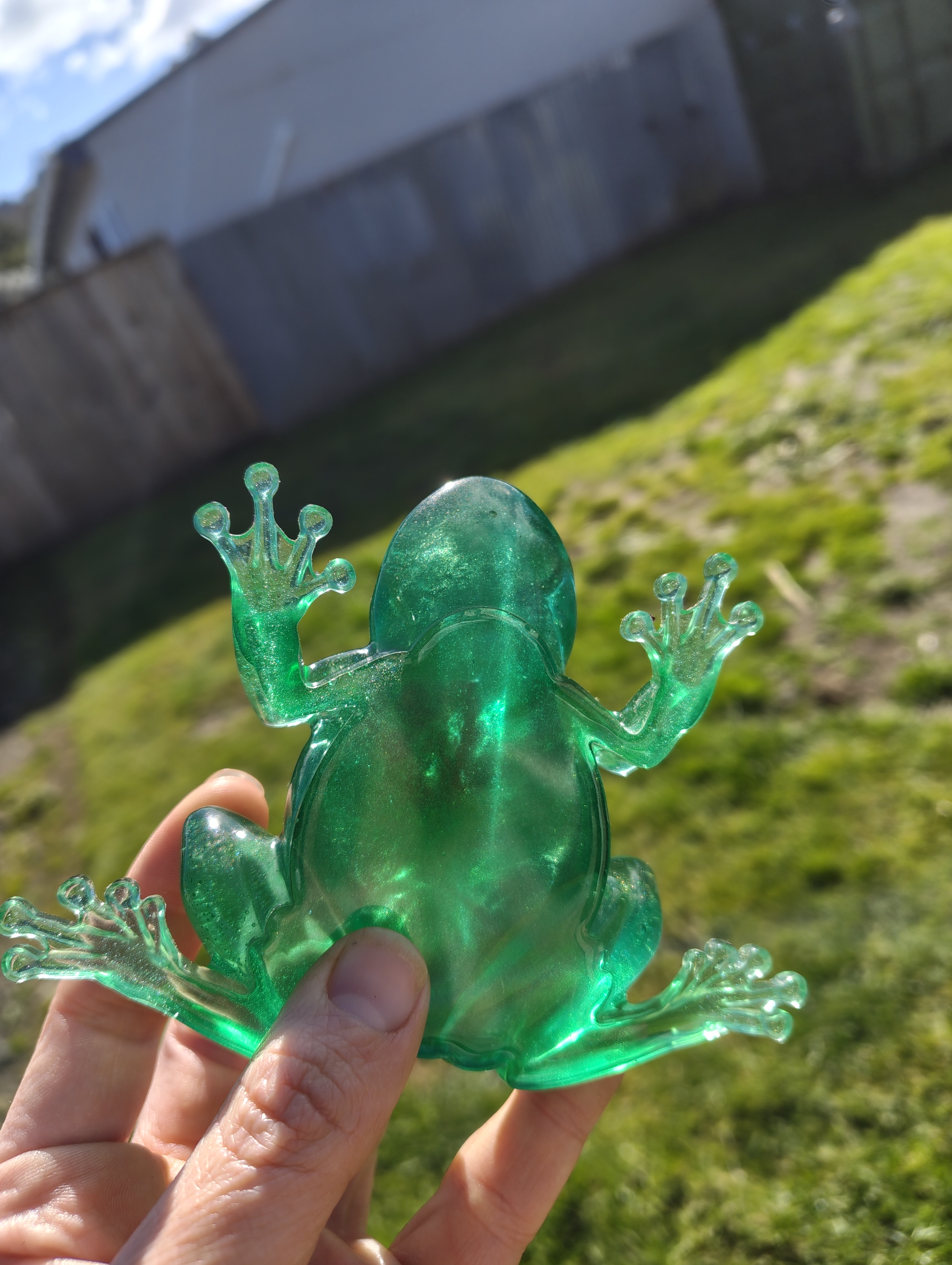 "Forest Guardian" Real Pressed Flower Resin Frog